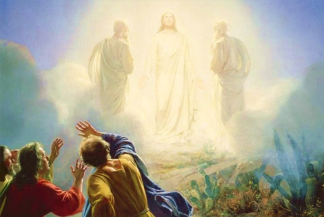 Daily Mass Theme